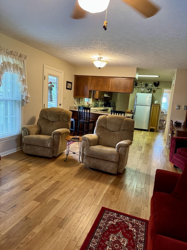 4295 Vince Rd, Nicholasville, KY 40356 - living room featuring light wood finished floors and a textured ceiling
