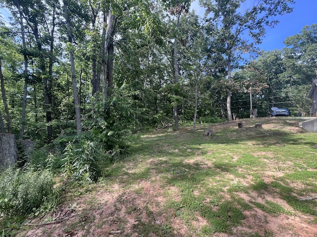 195 Copperhead Rd, Corbin, KY 40701 - view of yard