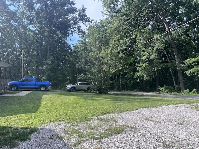 195 Copperhead Rd, Corbin, KY 40701 - view of grassy yard