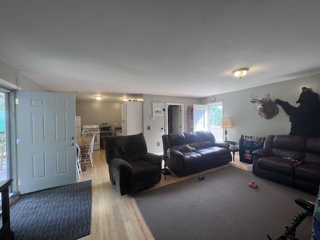 195 Copperhead Rd, Corbin, KY 40701 - living area with light wood-style floors and plenty of natural light