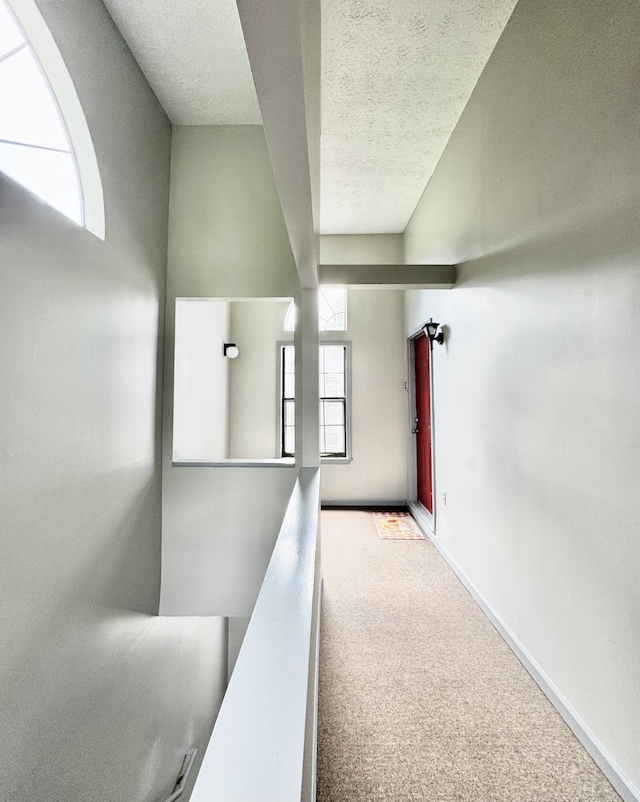 404 Bainbridge Ct Unit E3, Lexington, KY 40509 - hallway with carpet floors and a textured ceiling