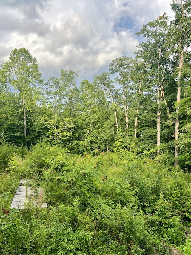 852 Buck Creek Cir, Somerset, KY 42501 - view of local wilderness