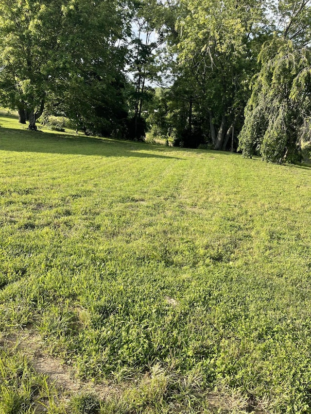 232 Mills Ave, Flemingsburg, KY 41041