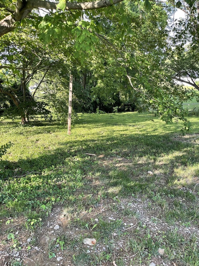 232 Mills Ave, Flemingsburg, KY 41041
