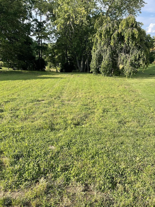232 Mills Ave, Flemingsburg, KY 41041