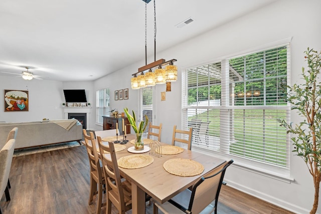 137 Kirkstall Way, Georgetown, KY 40324 - dining space with dark wood finished floors, a lit fireplace, and a ceiling fan