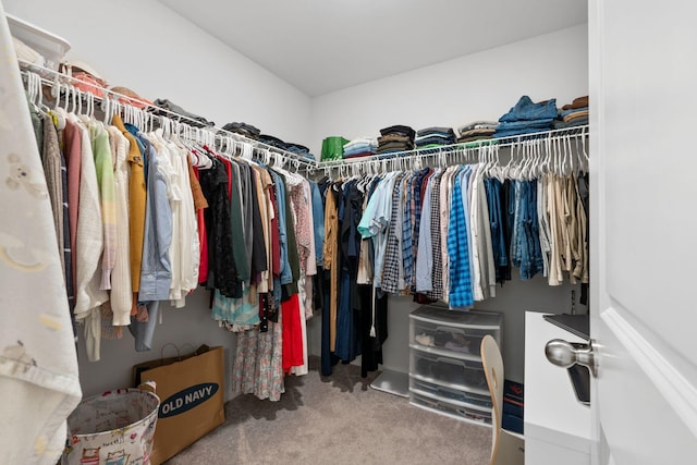 137 Kirkstall Way, Georgetown, KY 40324 - walk in closet featuring carpet floors