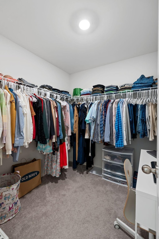 137 Kirkstall Way, Georgetown, KY 40324 - spacious closet with carpet flooring