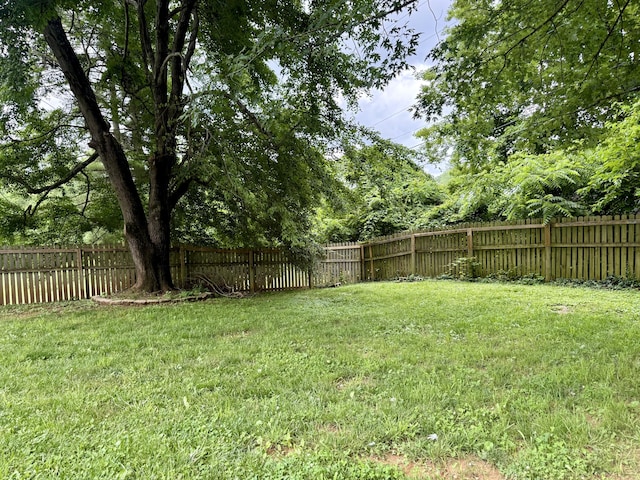 123 Hillandale Dr, Somerset, KY 42501 - view of fenced backyard