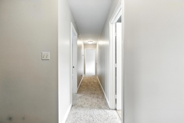 4433 River Ridge Rd, Lexington, KY 40515 - corridor with light carpet and baseboards