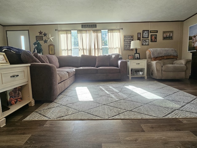 421 Dry Branch Rd, Morehead, KY 40351 - living room featuring a textured ceiling, crown molding, and wood finished floors