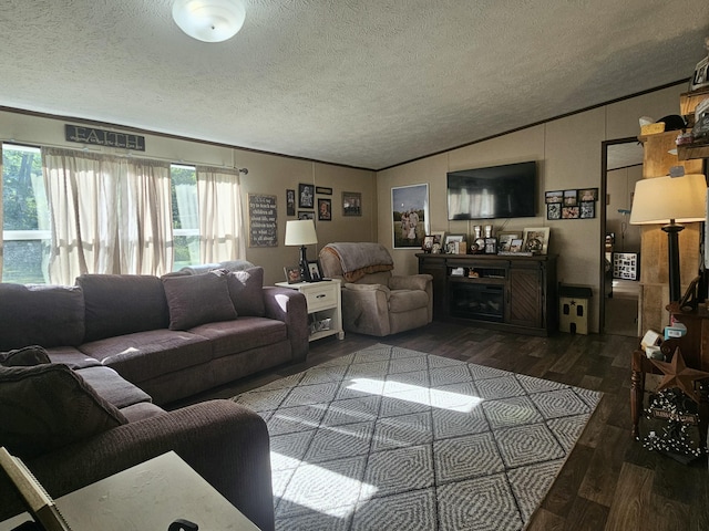 421 Dry Branch Rd, Morehead, KY 40351 - living area featuring a textured ceiling, wood finished floors, plenty of natural light, lofted ceiling, and crown molding