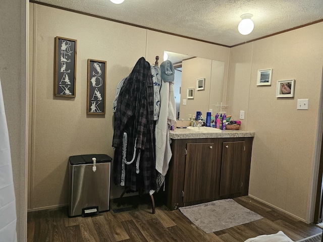421 Dry Branch Rd, Morehead, KY 40351 - bathroom with wood finished floors, ornamental molding, vanity, a textured ceiling, and a textured wall