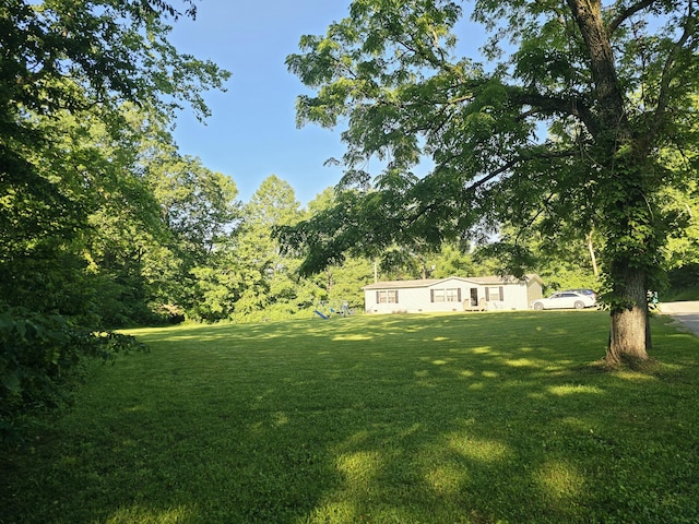 421 Dry Branch Rd, Morehead, KY 40351 - view of green lawn