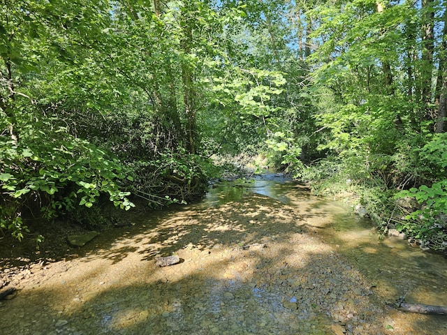 421 Dry Branch Rd, Morehead, KY 40351 - view of wooded area