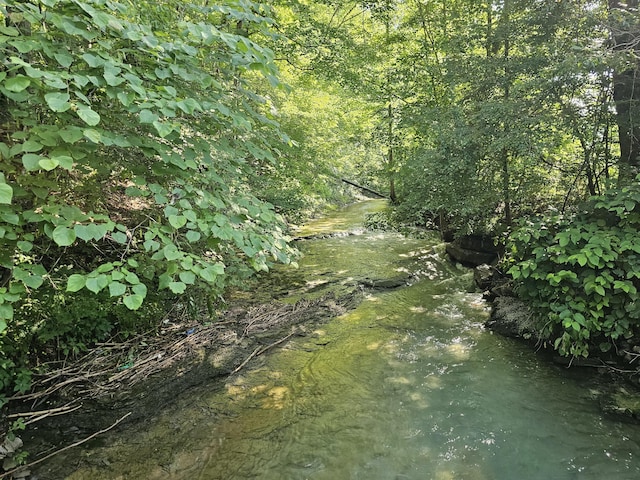 421 Dry Branch Rd, Morehead, KY 40351 - view of tree filled area