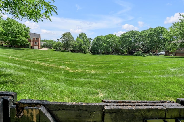 2609 Idlewood Dr, Lexington, KY 40513 - view of yard
