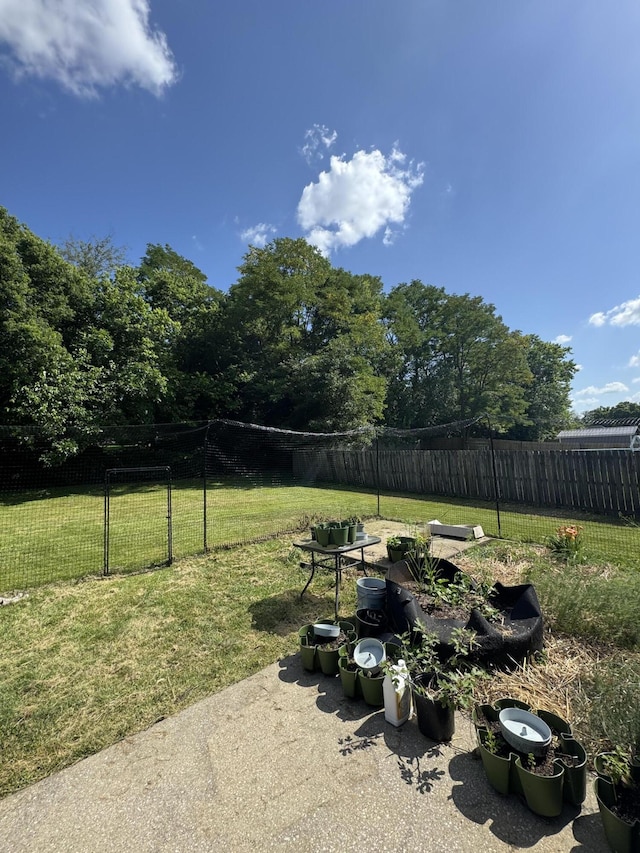 208 Secretariat Dr, Lawrenceburg, KY 40342 - view of yard