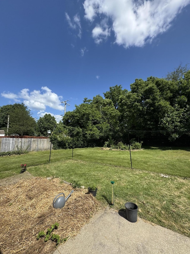 208 Secretariat Dr, Lawrenceburg, KY 40342 - view of yard