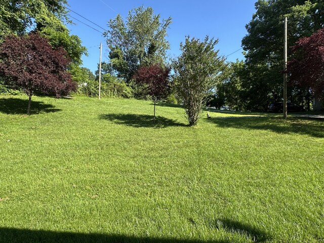 21 Herb Neal Rd, Pine Knot, KY 42635 - view of green lawn