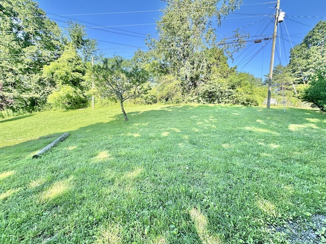 21 Herb Neal Rd, Pine Knot, KY 42635 - view of grassy yard