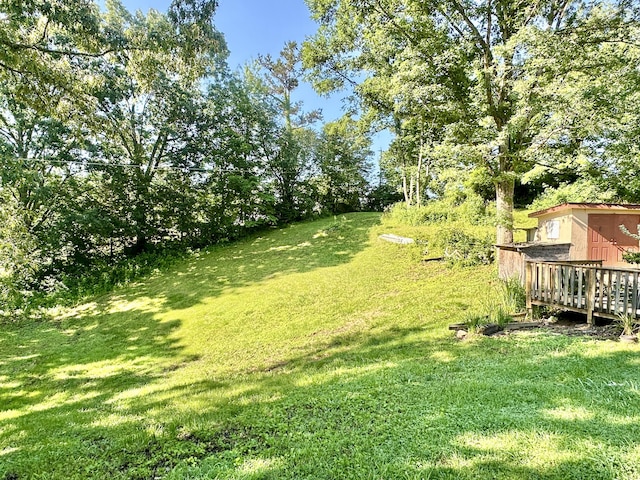21 Herb Neal Rd, Pine Knot, KY 42635 - view of grassy yard