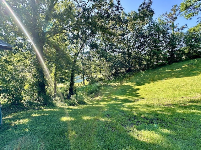 21 Herb Neal Rd, Pine Knot, KY 42635 - view of green lawn