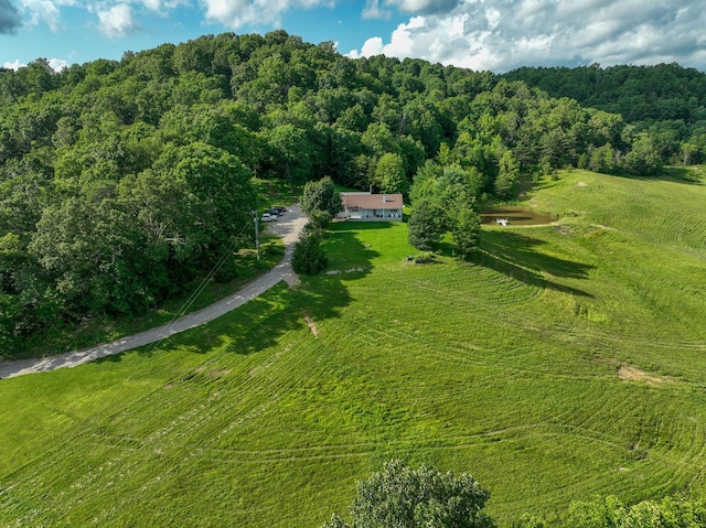 1445 Bastin Creek Rd, Kings Mountain, KY 40442 - aerial overview of property's location featuring a heavily wooded area and rural landscape