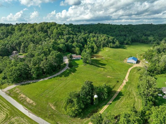 1445 Bastin Creek Rd, Kings Mountain, KY 40442 - aerial overview of property's location with rural landscape