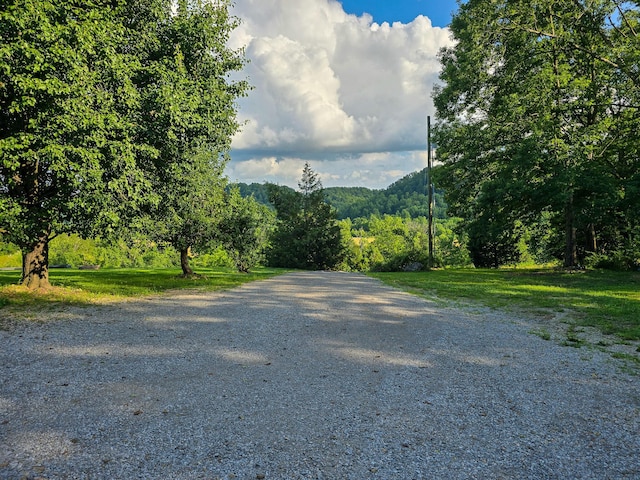 1445 Bastin Creek Rd, Kings Mountain, KY 40442 - view of dirt / gravel road with a forest view