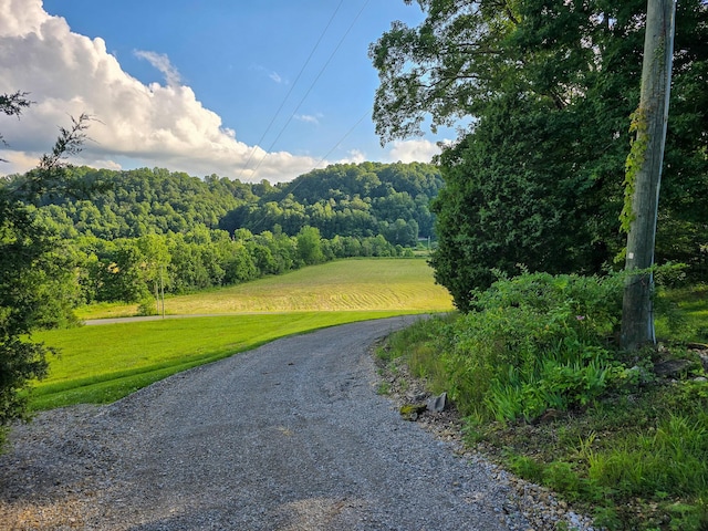 1445 Bastin Creek Rd, Kings Mountain, KY 40442 - view of street featuring a wooded view
