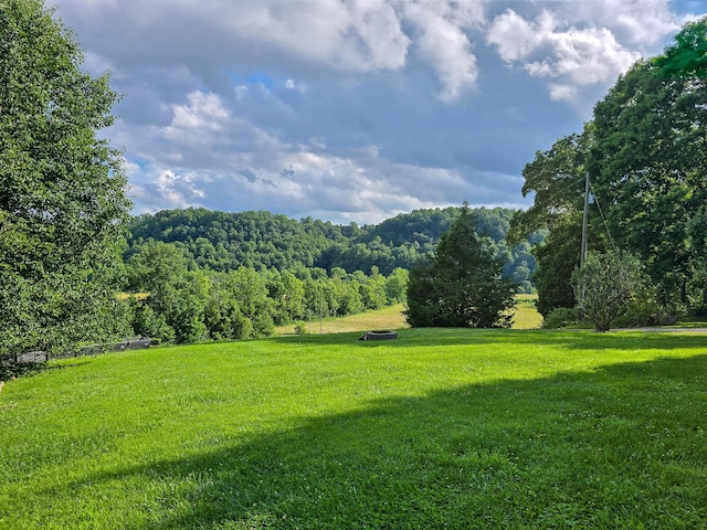 1445 Bastin Creek Rd, Kings Mountain, KY 40442 - view of grassy yard featuring a view of trees