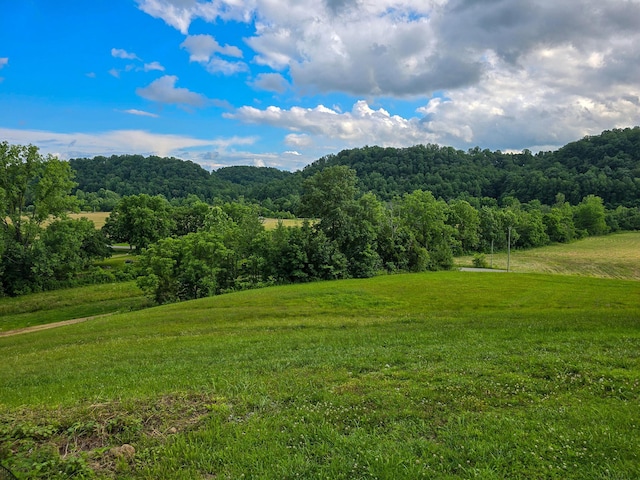 1445 Bastin Creek Rd, Kings Mountain, KY 40442 - view of mountain background featuring a forest