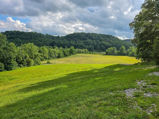 1445 Bastin Creek Rd, Kings Mountain, KY 40442 - view of mountain backdrop featuring a forest