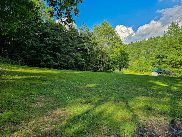 1445 Bastin Creek Rd, Kings Mountain, KY 40442 - view of grassy yard featuring a forest view