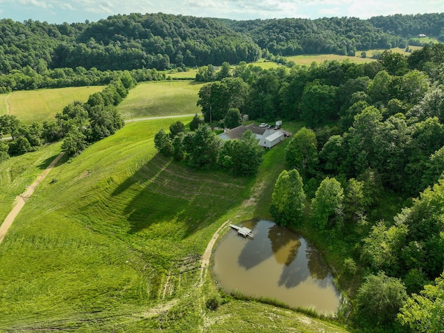 1445 Bastin Creek Rd, Kings Mountain, KY 40442 - overview of rural landscape featuring a nearby body of water and a forest