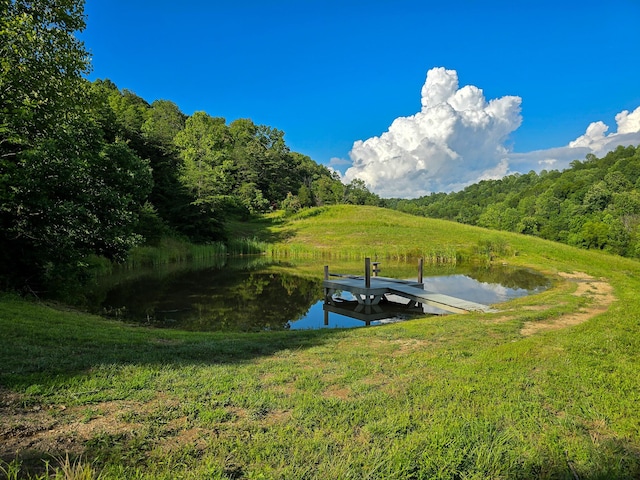 1445 Bastin Creek Rd, Kings Mountain, KY 40442 - dock area featuring a water view and a wooded view