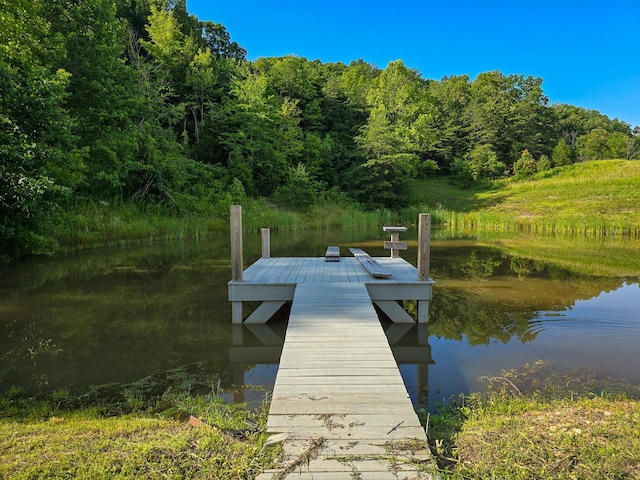 1445 Bastin Creek Rd, Kings Mountain, KY 40442 - dock with a water view and a view of trees