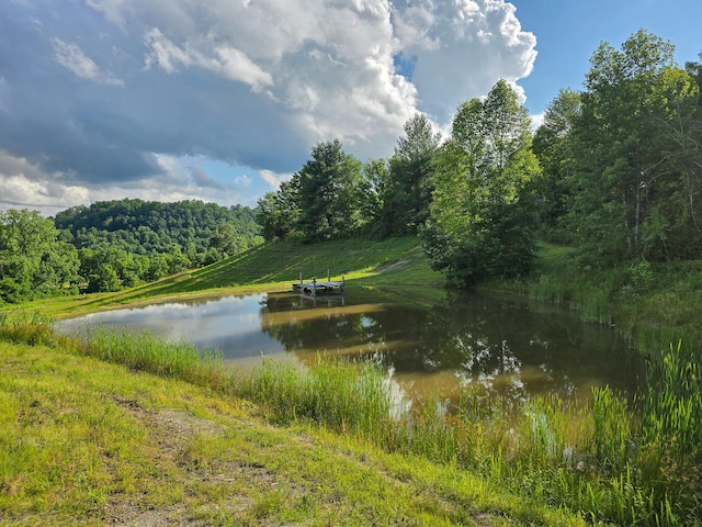 1445 Bastin Creek Rd, Kings Mountain, KY 40442 - water view with a forest