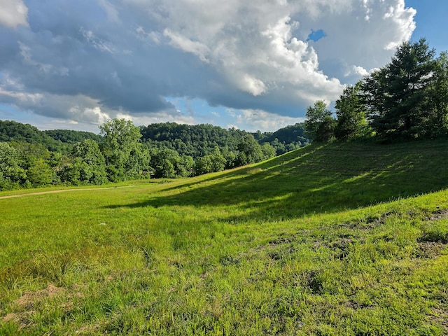 1445 Bastin Creek Rd, Kings Mountain, KY 40442 - view of yard with a forest view and a rural view