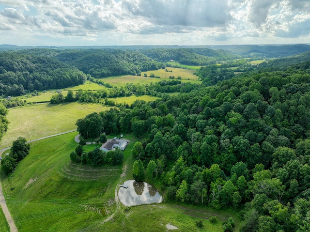 1445 Bastin Creek Rd, Kings Mountain, KY 40442 - aerial view of sparsely populated area featuring a heavily wooded area