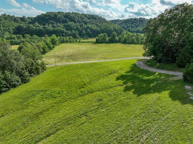 1445 Bastin Creek Rd, Kings Mountain, KY 40442 - view of rural area featuring a heavily wooded area