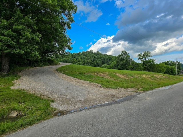 1445 Bastin Creek Rd, Kings Mountain, KY 40442 - view of asphalt road