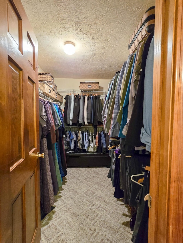 1445 Bastin Creek Rd, Kings Mountain, KY 40442 - walk in closet featuring carpet floors