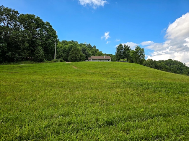 1445 Bastin Creek Rd, Kings Mountain, KY 40442 - view of yard with a view of countryside and a view of trees