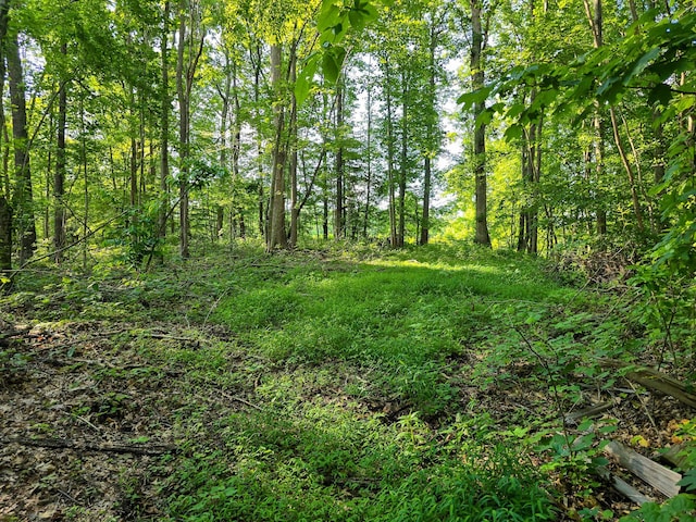 1445 Bastin Creek Rd, Kings Mountain, KY 40442 - view of undeveloped land