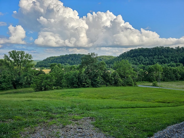 1445 Bastin Creek Rd, Kings Mountain, KY 40442 - view of mountain background with a heavily wooded area