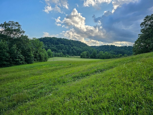1445 Bastin Creek Rd, Kings Mountain, KY 40442 - view of mountain backdrop featuring a heavily wooded area and rural landscape