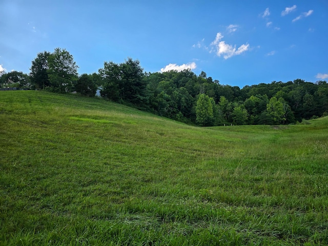 1445 Bastin Creek Rd, Kings Mountain, KY 40442 - view of undeveloped land featuring rural landscape