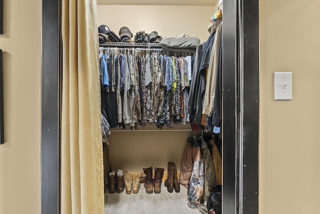4111 Stanford Rd, Danville, KY 40422 - view of spacious closet